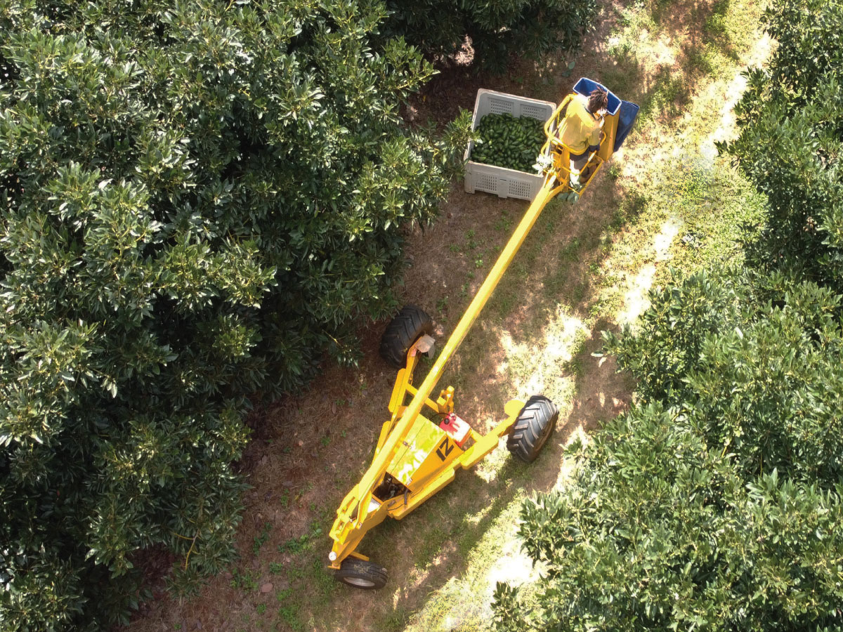 Farm machinery in avocado orchard Atherton Tablelands