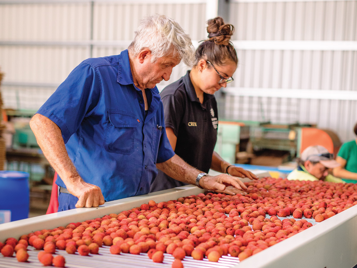 Workers completing quality control 