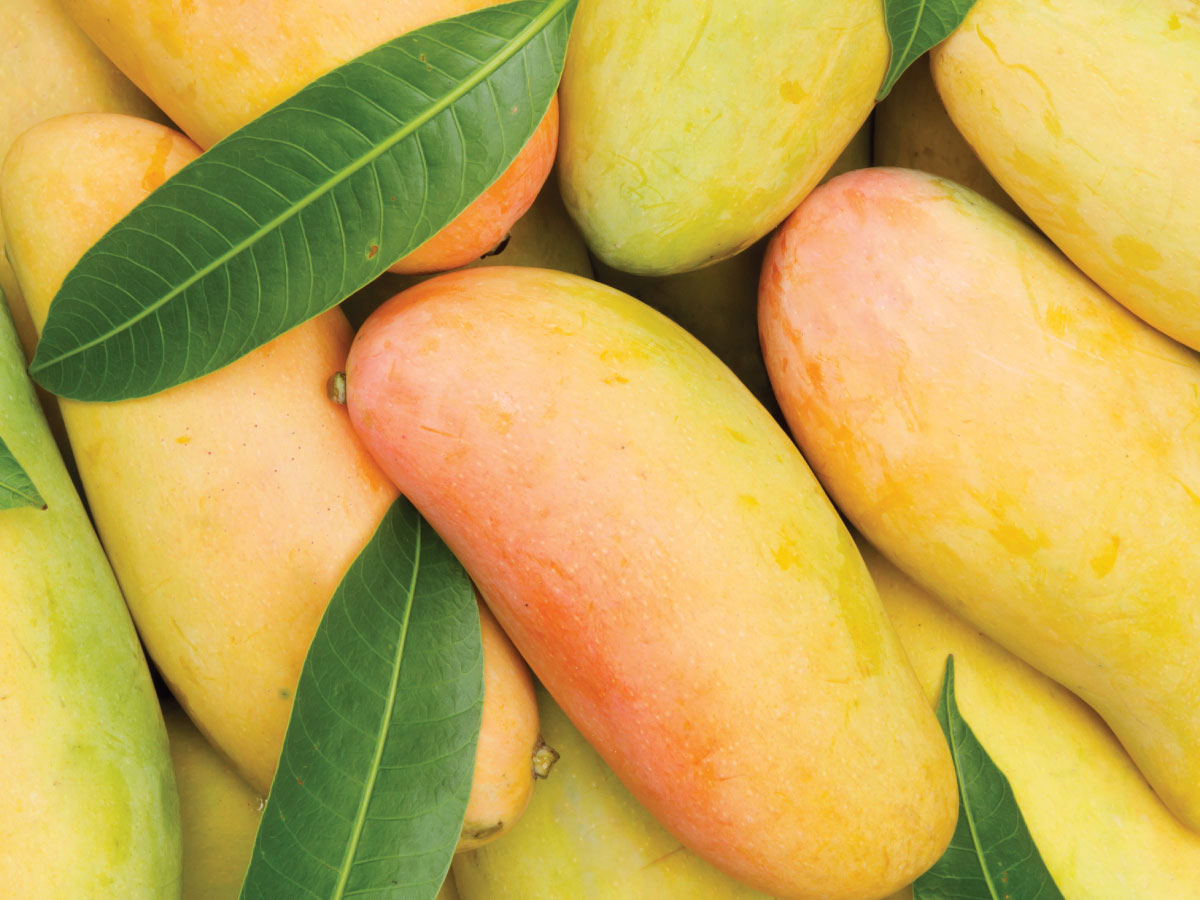 Beyond The Mango: Unveiling Australia’s Iconic Fruits